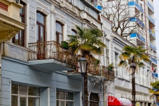 Пальмы в Старом Батуми зимой